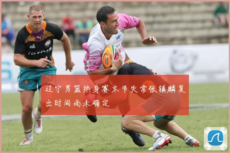 辽宁男篮热身赛末节失常张镇麟复出时间尚未确定