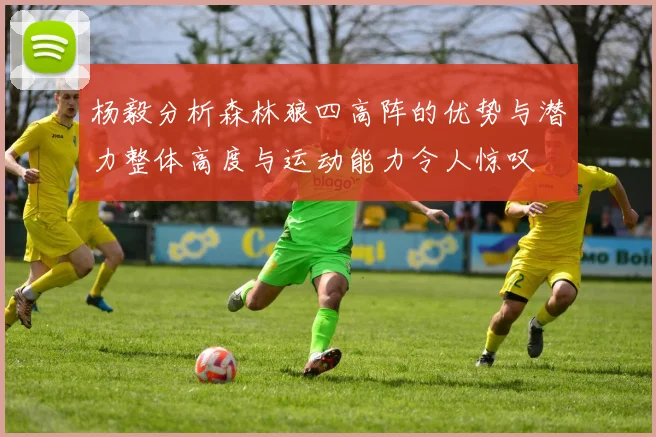 杨毅分析森林狼四高阵的优势与潜力整体高度与运动能力令人惊叹
