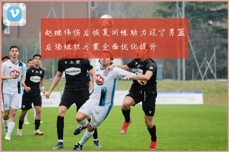 赵继伟伤后恢复训练助力辽宁男篮后场组织方案全面优化提升