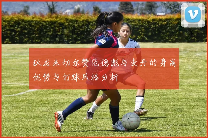 狄龙米切尔赞范德彪与麦丹的身高优势与打球风格分析