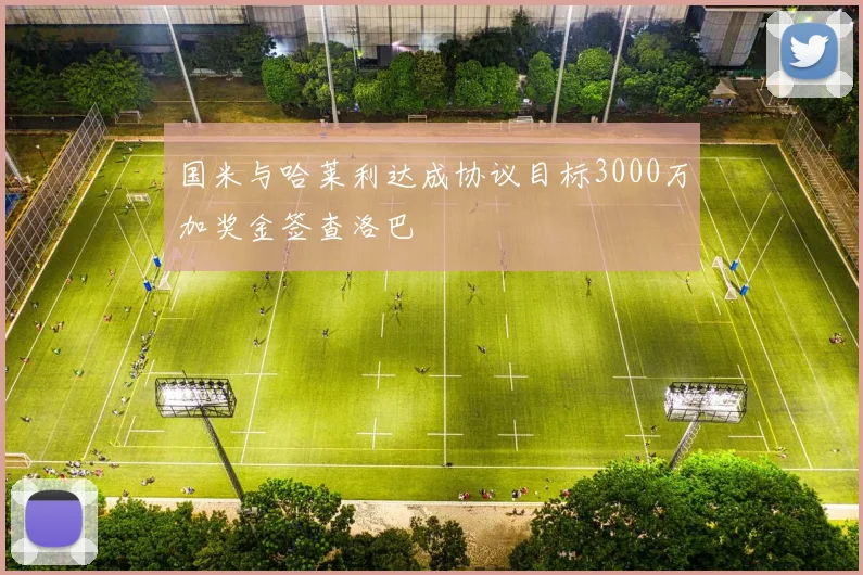 国米与哈莱利达成协议目标3000万加奖金签查洛巴