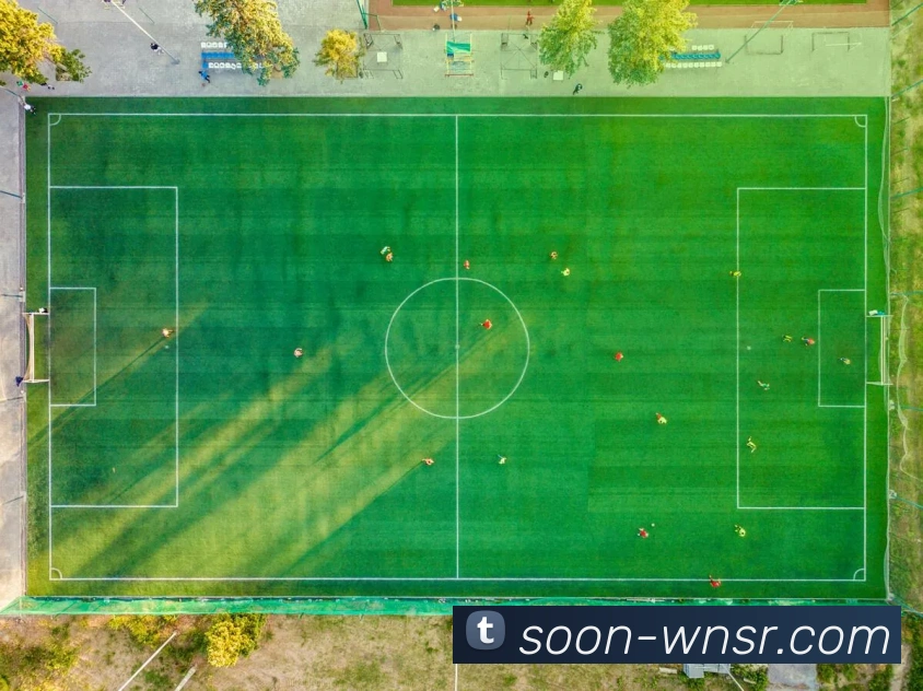 登录器